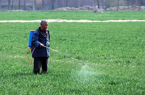 收藏這篇文章，配藥、稀釋、時機等打藥問題，全部都搞懂